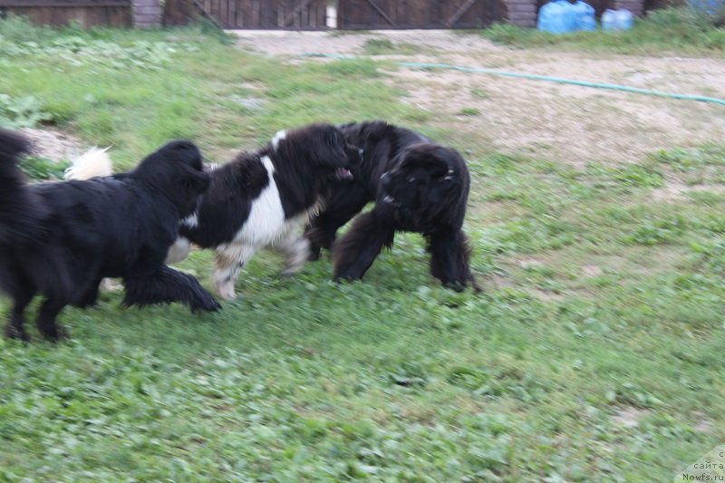 Фотография № 133661