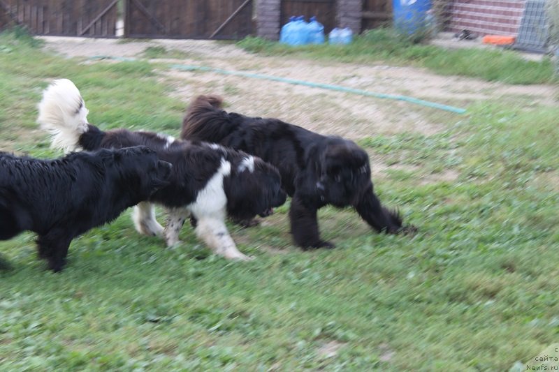 Фотография № 133662