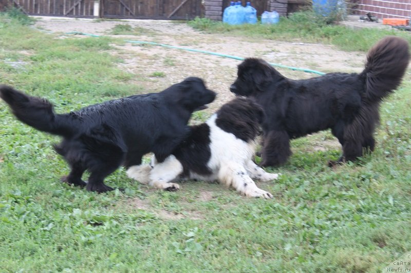 Фотография № 133664