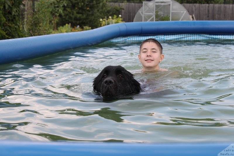 Фотография № 133668