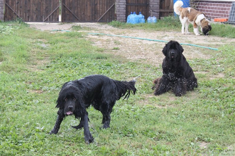 Фотография № 133669