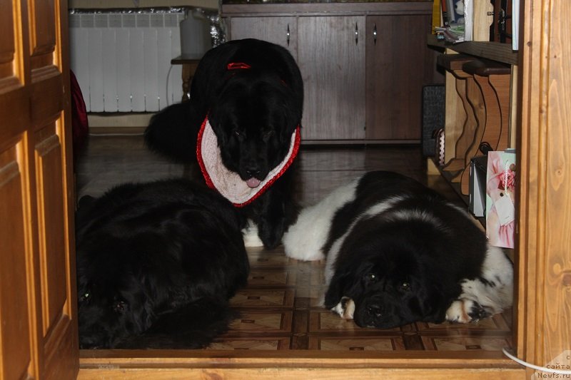 Фотография № 133673