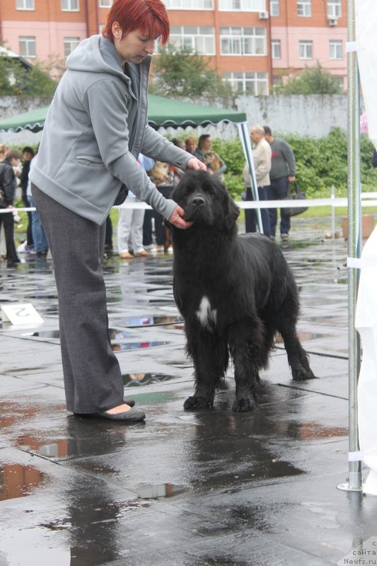 Фотография № 133675