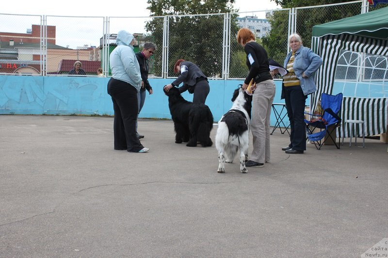 Фотография № 133680