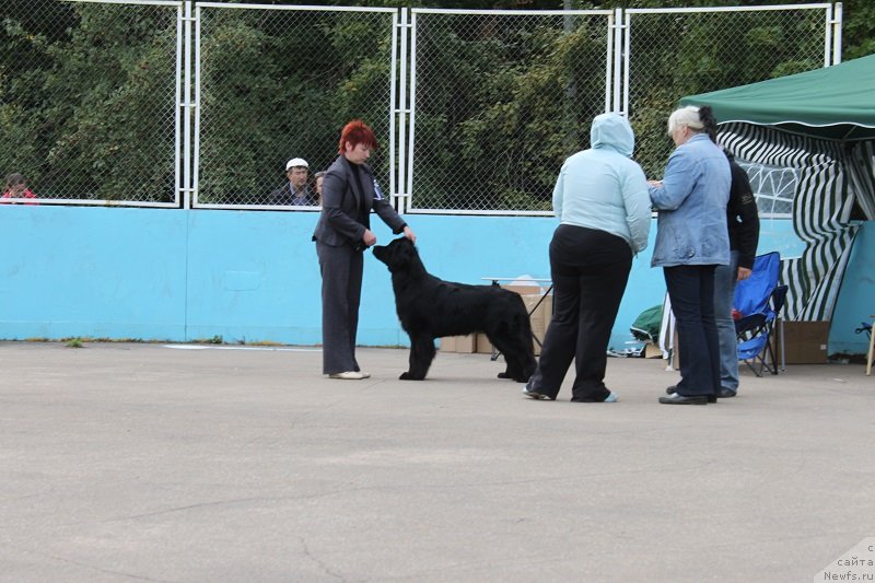 Фотография № 133681