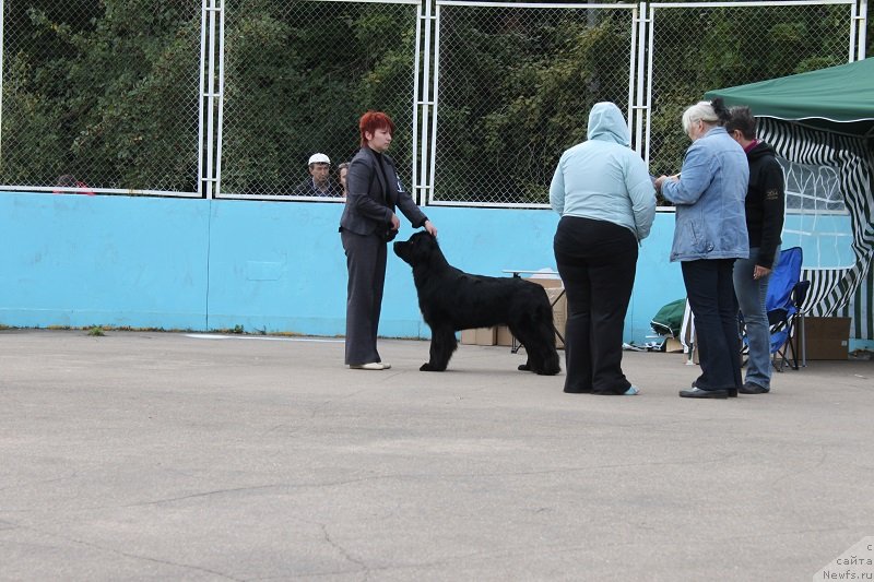 Фотография № 133682