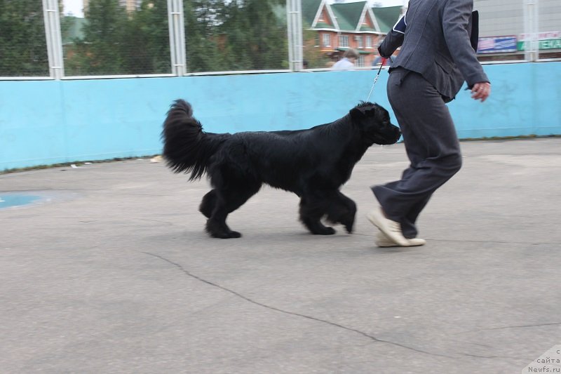 Фотография № 133684