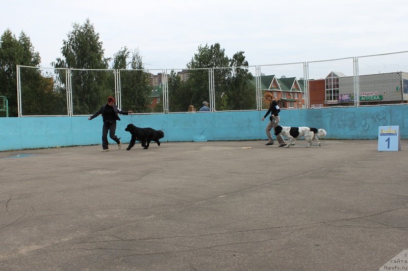 Фотография № 133685