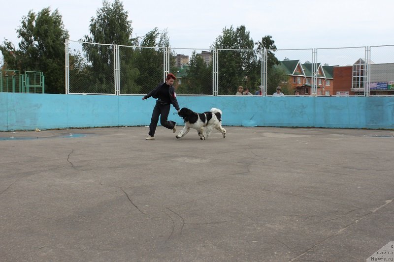 Фотография № 133686