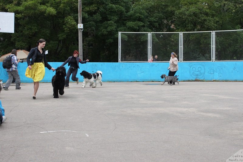 Фотография № 133690