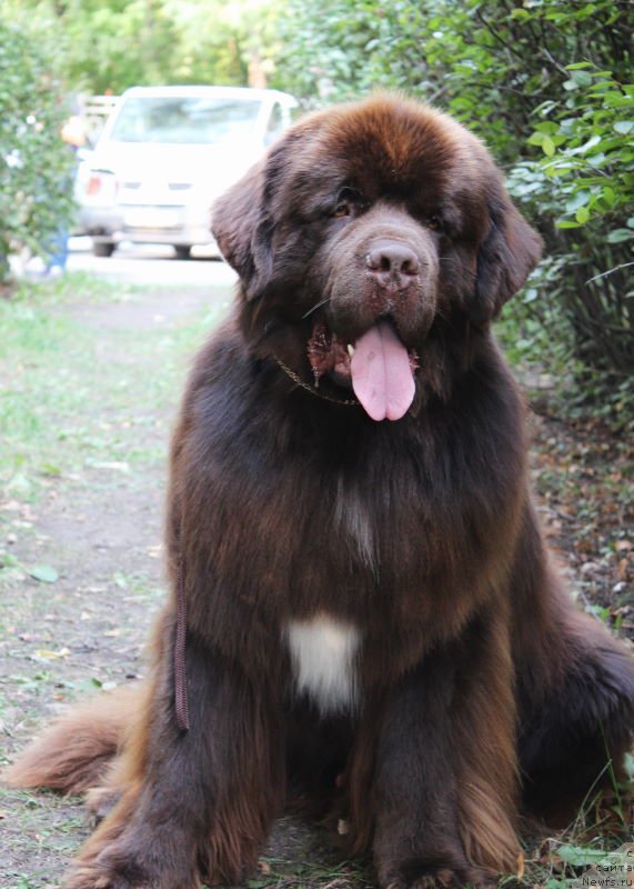 Фотография № 133745