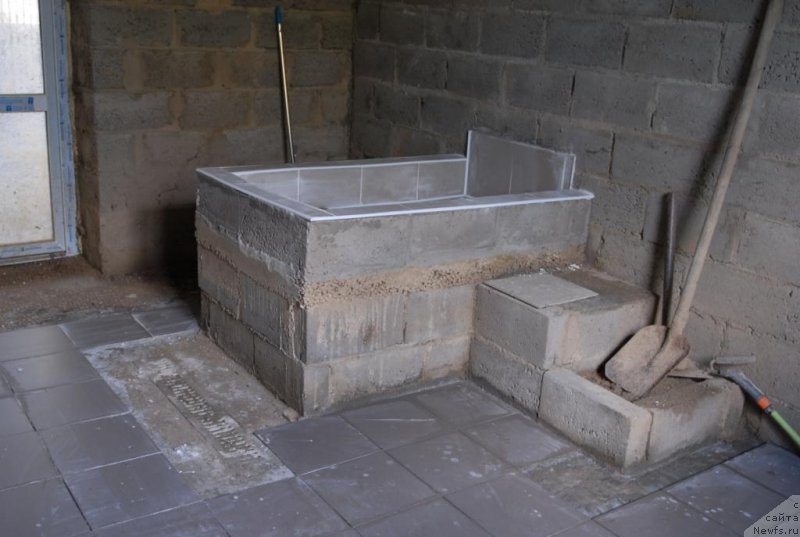 Фотография № 133746