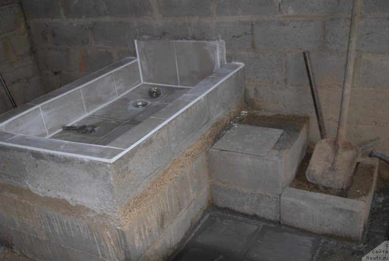 Фотография № 133747