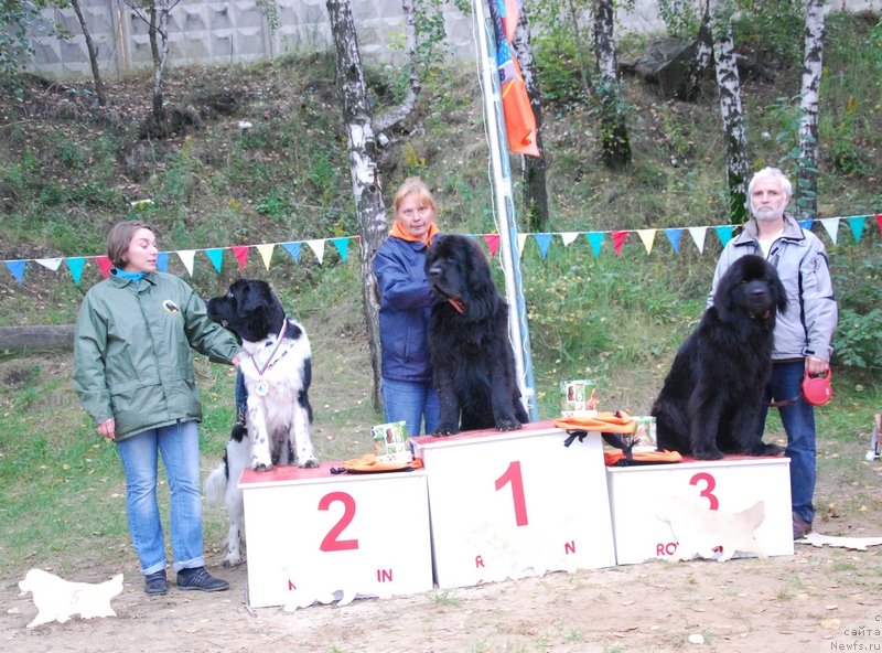 Фотография № 133781