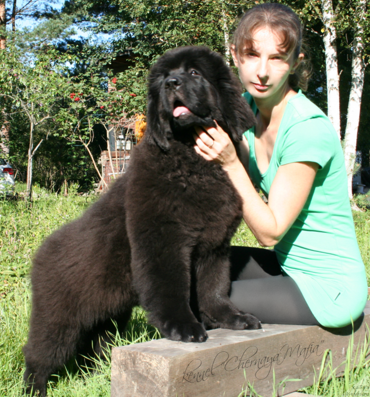 Фотография № 133819