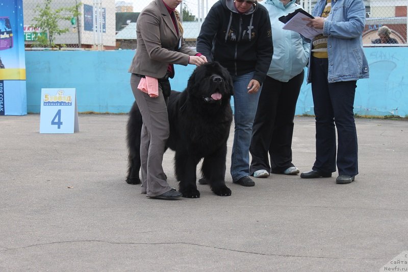 Фотография № 133820