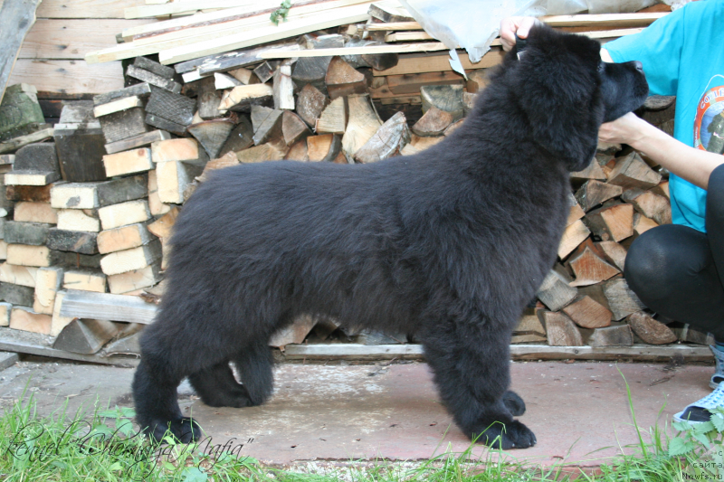 Фотография № 133828