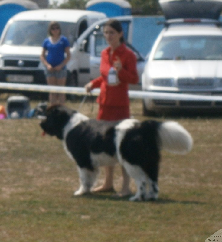 Фотография № 133863