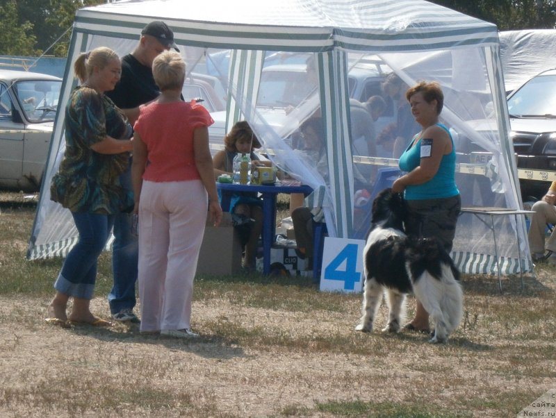 Фотография № 133865