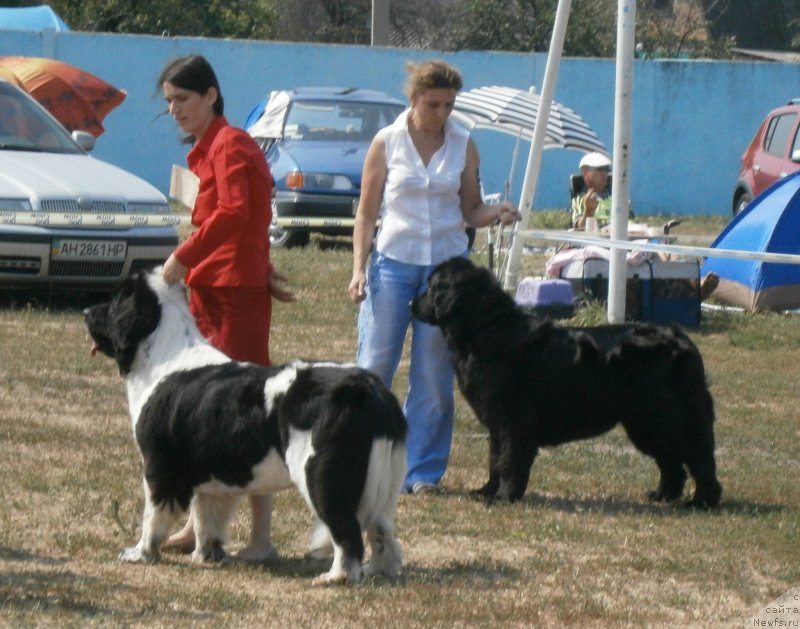 Фотография № 133868