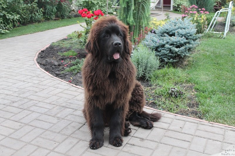 Фотография № 133894