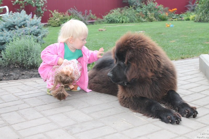 Фотография № 133895