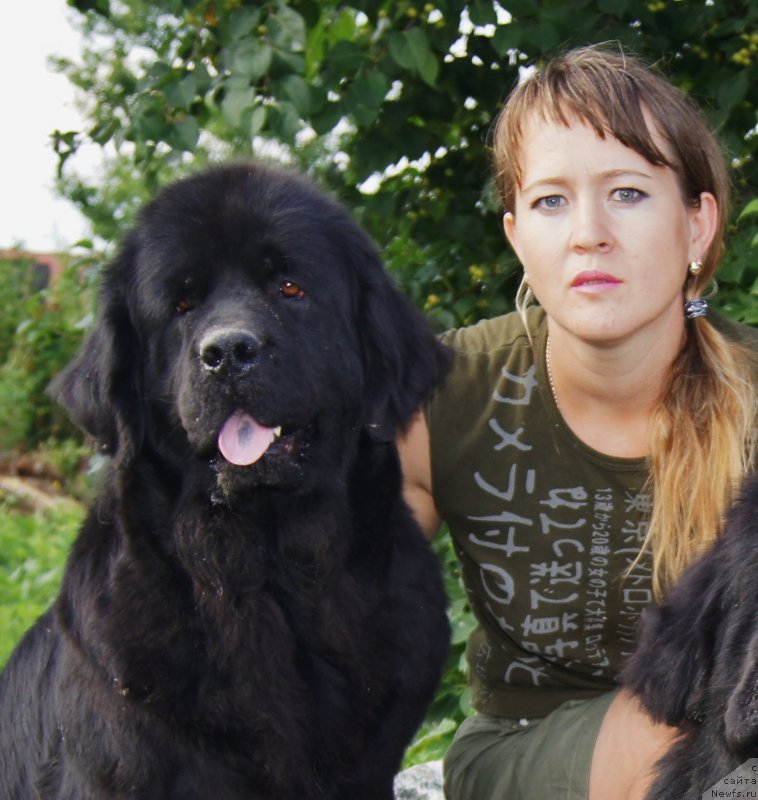 Фото: ньюфаундленд Их Высочество Баттерфляй Блэк Омелия, Ольга Трапезникова
