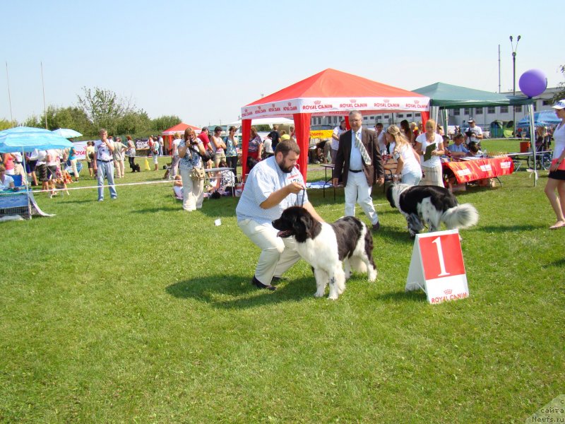 Фотография № 133967