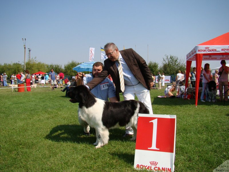 Фотография № 133968