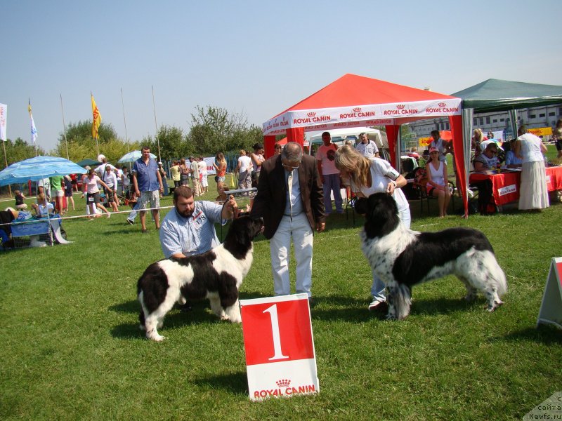 Фотография № 133969