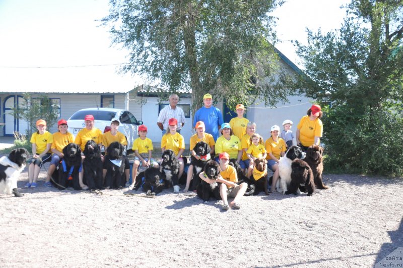 Фото: Марина Турапина, Наталья Зубова, ньюфаундленд Акватория Келвин Селебрейшн, Екатерина Милёхина, ньюфаундленд Аллегро Ассаи Луна, ньюфаундленд Океанская Волна из Тихого Омута, Юра Пеньковский, Д.Ботов, Г.Футерман, ньюфаундленд Антарио Блэк Стайл (Antario Black Style), ньюфаундленд Експрессия  из Медвежьего Яра, ньюфаундленд Беатрис Благославлённая На Счастье, Анна Князева, Ирина Павлова, Татьяна Рустанова, Наталья Корчага, ньюфаундленд Би Перфект Арабелла, Светлана Ботова, ньюфаундленд Оттава (Ottava), ньюфаундленд Рокот Волны Варга Кара Аюлар (Rokot Volny Varga Kara Ayular), ньюфаундленд Ница для Кара Аюлар из Тихого Омута (Nica Dlja Kara Ayular iz Tihogo Omuta), ньюфаундленд Кара Аюлар Алмазная Принцесса, ньюфаундленд Kara Ayular Winter Snowball, Юлия Аляева, Денис Поморцев, Люда Аникина, Александр Файзулин