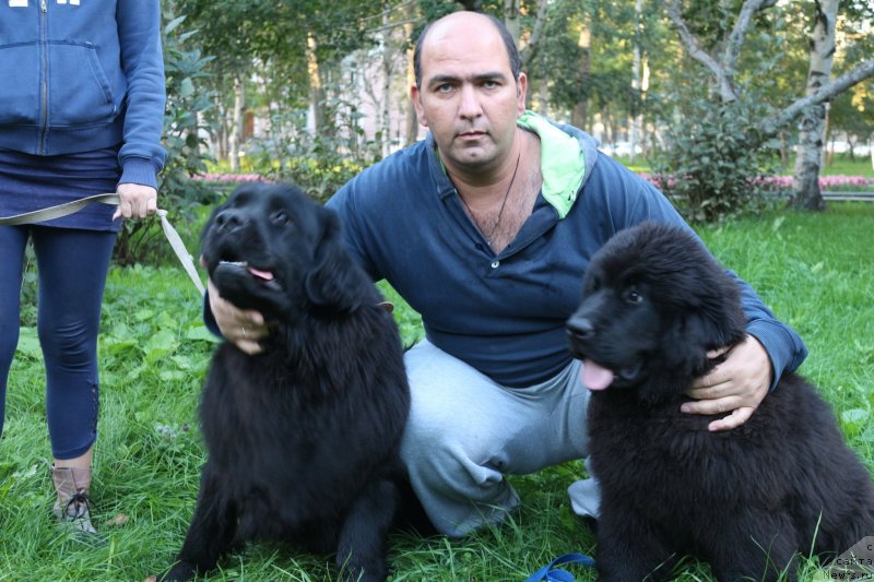 Фотография № 133983