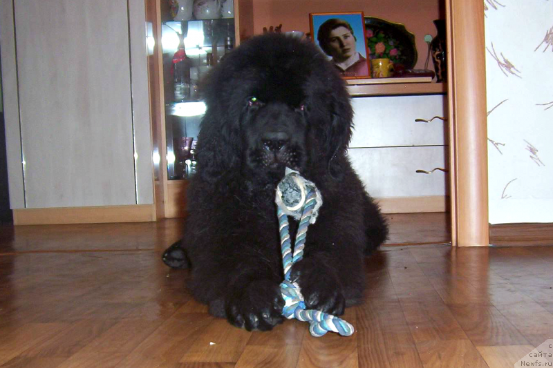 Фотография № 133994