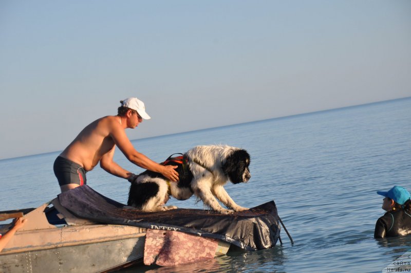 Фотография № 134006