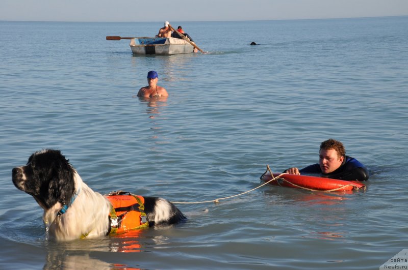 Фотография № 134009