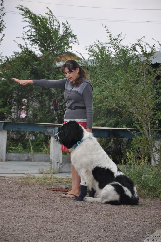 Фотография № 134011