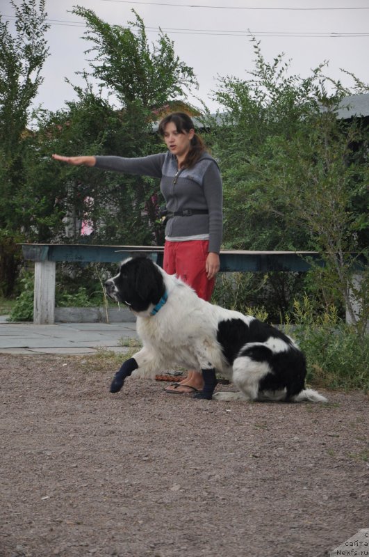 Фотография № 134012