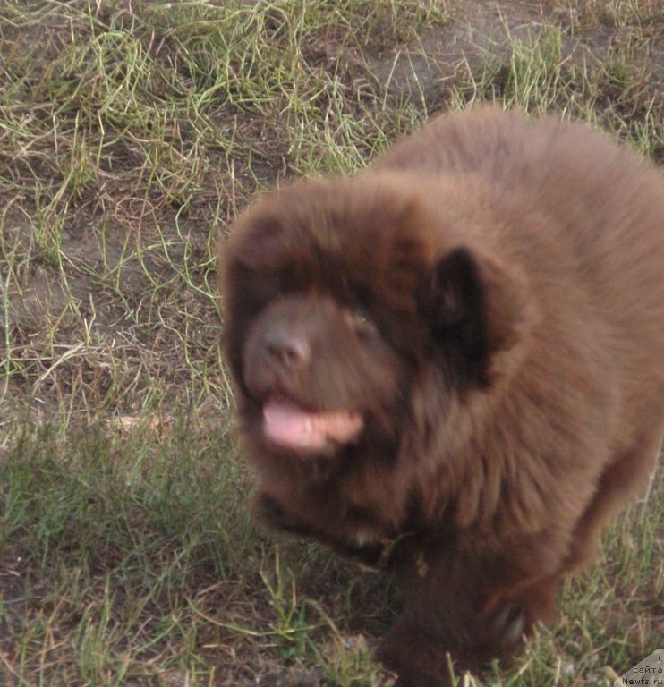 Фотография № 134019