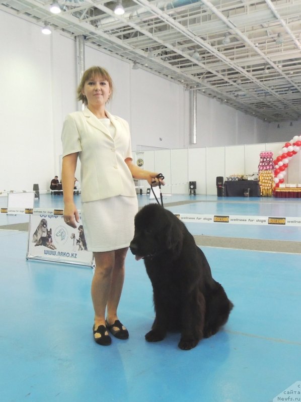 Фотография № 134030