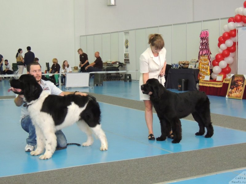 Фотография № 134031