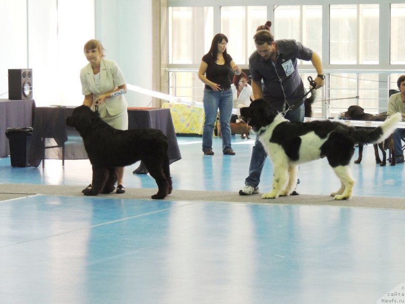 Фотография № 134032