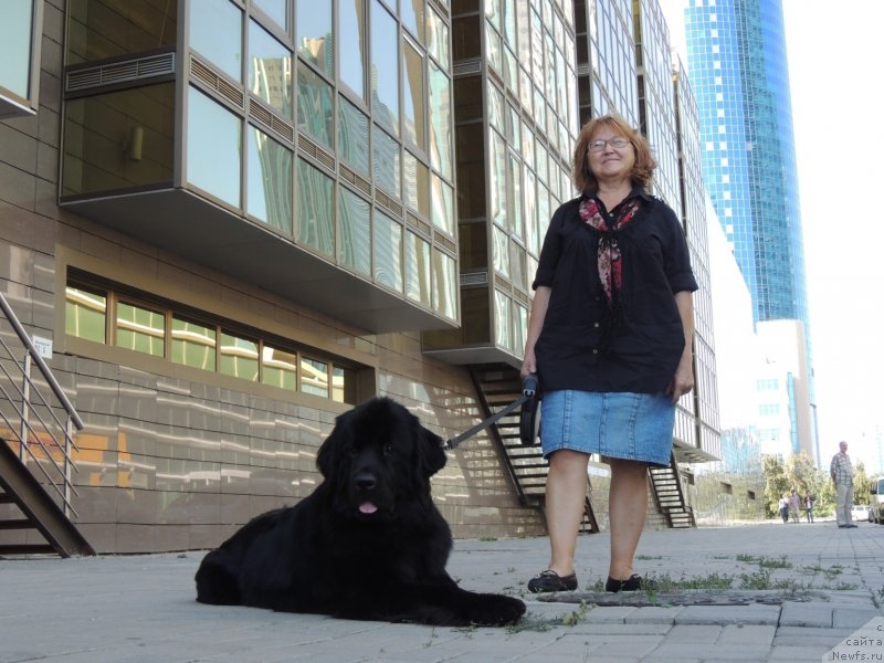 Фотография № 134033