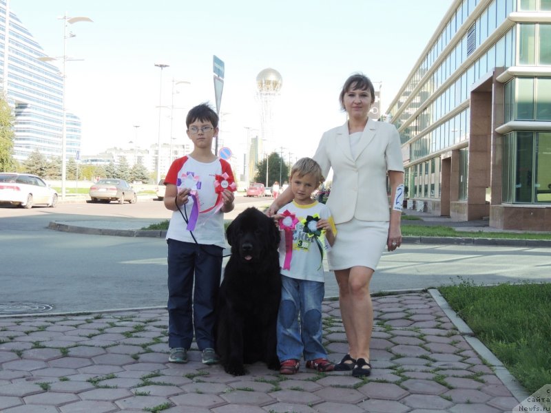 Фотография № 134035