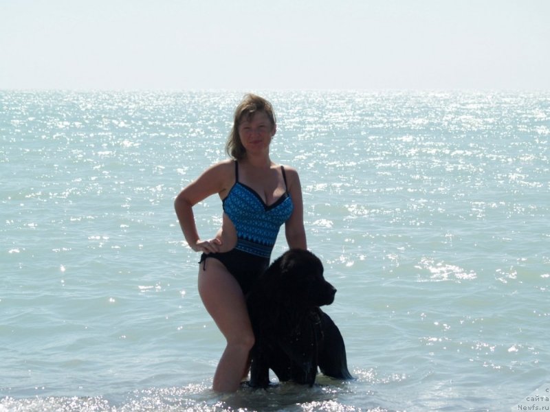 Фото: ньюфаундленд Би Перфект Арабелла, Ирина Павлова