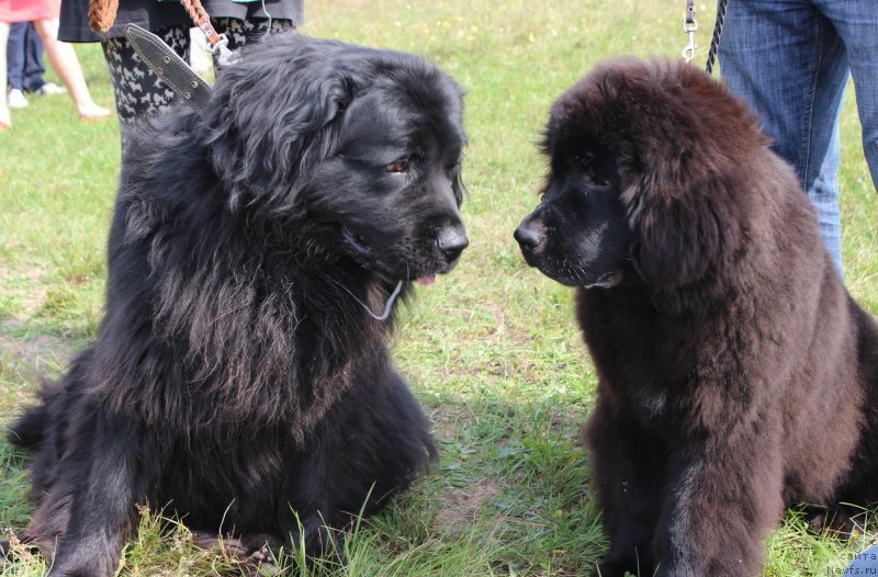 Фотография № 134049