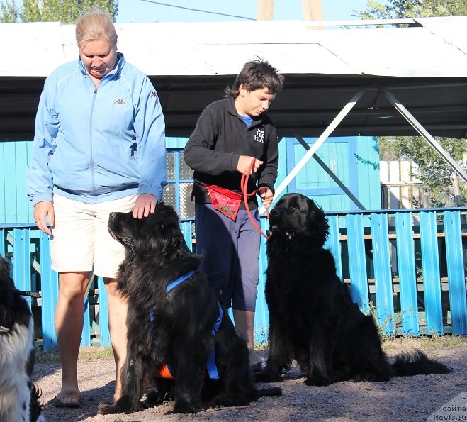 Фото: [p1431] и, [d7043]
Ботов Данила и, ньюфаундленд Аллегро Ассаи Луна