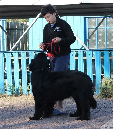 Фото: [d9818] и Ботов Данила