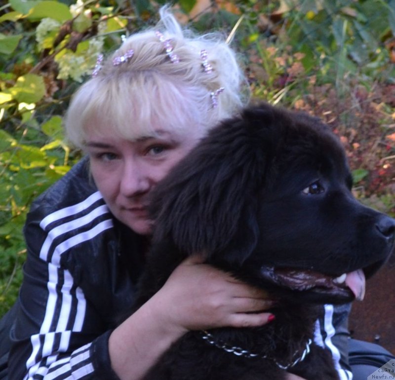 Фото: ньюфаундленд Черная Мафия Зоом Инто Ме (Chernaya Mafia Zoom Into Me), Марина Богданова