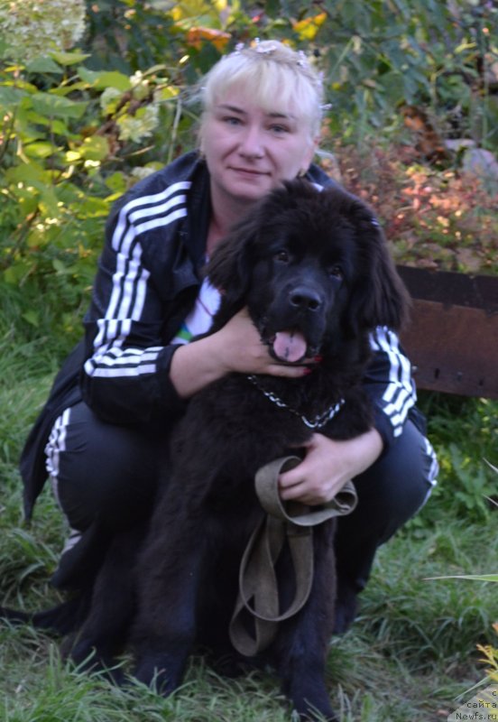 Фотография № 134064