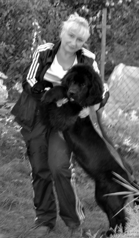 Фотография № 134065